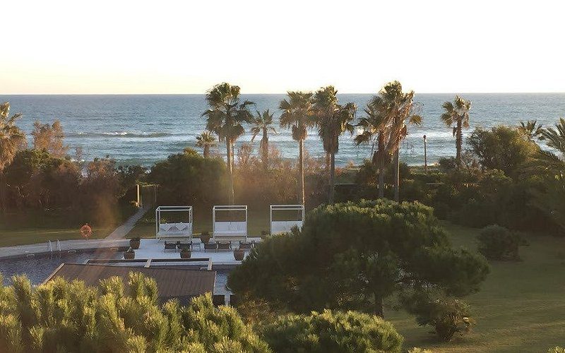 Corelight-view-from-room